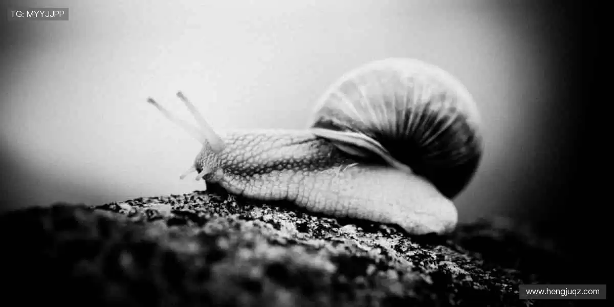 高清直播，细节尽收眼底👀